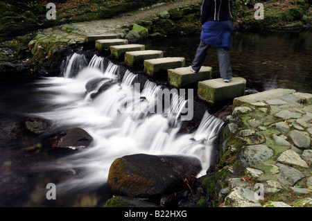 Frau zu Fuß über die Vertiefung der Steinen Fußweg Gehweg überqueren Kreuz über die Shimna Fluss Tollymore Grafschaft, Nord-Irland Stockfoto