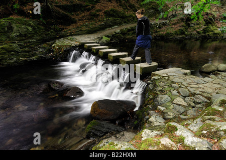 Frau zu Fuß über die Vertiefung der Steinen Fußweg Gehweg überqueren Kreuz über die Shimna Fluss Tollymore Grafschaft, Nord-Irland Stockfoto