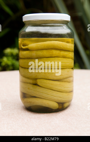 Wilden Gurken im Weckglas Stockfoto