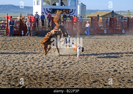 Land-Rodeo in der Nähe von Bryce Canyon in Utah, USA Stockfoto