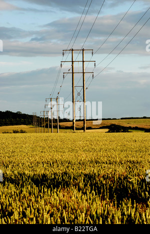 Elektrischen Leitungen Kreuzung Ackerland, UK Stockfoto