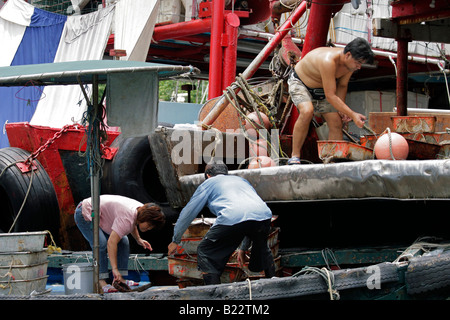 Chinesische Boot Leute entladen Fisch Körbe, Causeway Bay, Hong Kong Insel, China Stockfoto