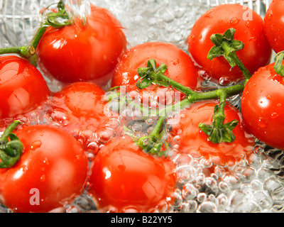 Reihe von Tomaten gewaschen Stockfoto