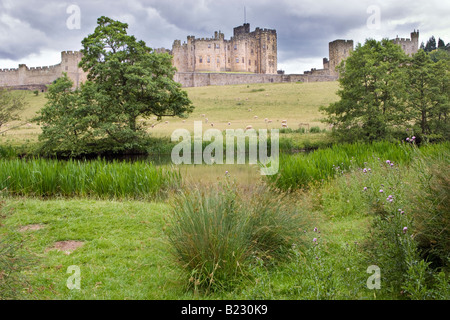Alnwick Castle mit dem Fluss Aln im Vordergrund. Northumberland, UK Stockfoto