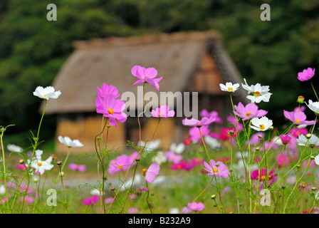 Ländliche Landwirtschaft Häuser in Gassho Zukuri Hände im Gebet Stil UNESCO World Heritage Site Shirakawa Dorf Japan Stockfoto