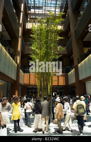 Chikurin (Bambushain), Galleria B1F, Tokyo Midtown, Tokyo, Japan Stockfoto