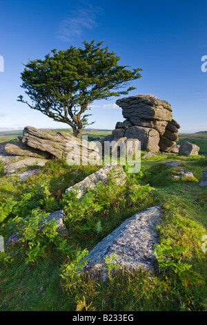 Sommermorgen auf einem Felsvorsprung in der Nähe von Sattel-Tor in Dartmoor National Park Devon England Stockfoto