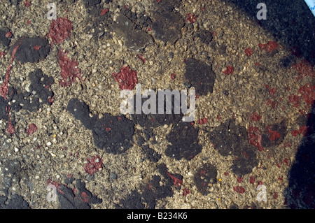 Nahaufnahme der alten Kaugummi und roter Farbe auf Straße Konglomerat Beton Stockfoto