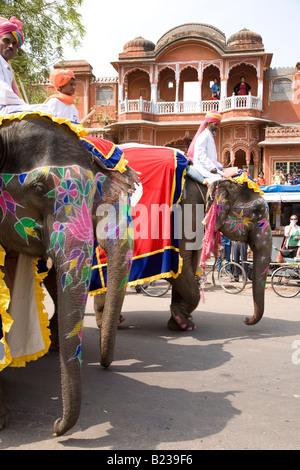 Elefanten Parade durch Jaipur auf dem Elephant Festival Stockfoto