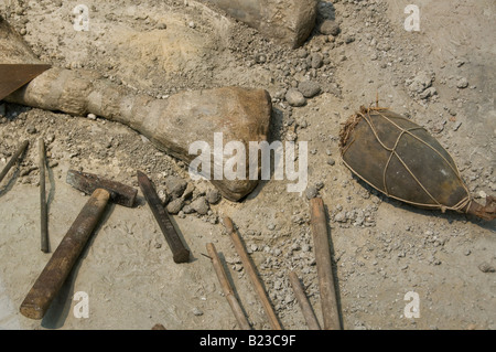 Ausstellung zeigt archäologische Ausgrabung am Museum für Naturkunde Museum für Naturkunde in Berlin, Deutschland Stockfoto