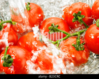 Reihe von Tomaten gewaschen Stockfoto