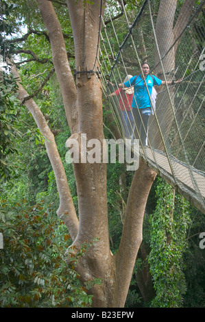 Die überdachunggehweg in Poring Hot Springs Mt Kinabalu Sabah Malaysia Stockfoto