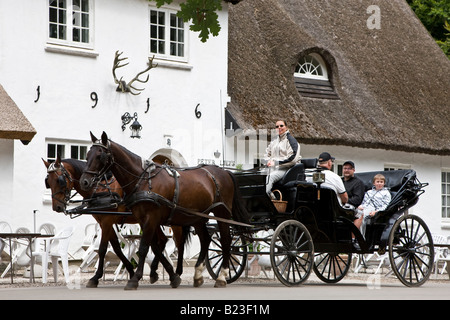 Sightseeing in einem Mietpferd Wagen im dänischen Park Dyrehaven Stockfoto