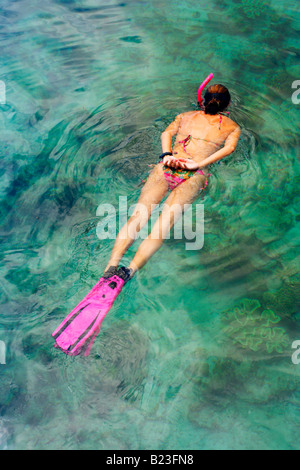 Schnorcheln im flachen Wasser vor dem Strand auf Pulau Mabul in der Nähe von Semporna und Pulau Sipadan Sabah Malaysia Stockfoto