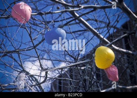 deflationierten bunte Luftballons in Baum stecken Stockfoto