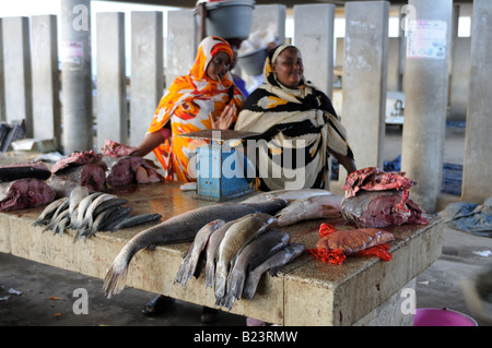 Frauen verkaufen ihre Fische in den Fischmarkt von Mauretanien Nouakchott West-Afrika Stockfoto