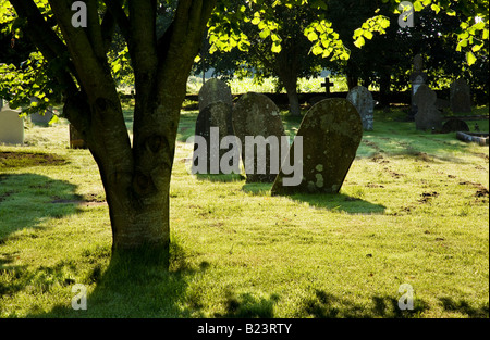 Alte Grabsteine in Heilig-Kreuz-Kirchhof, Ashton Keynes, Wiltshire, England, UK Stockfoto