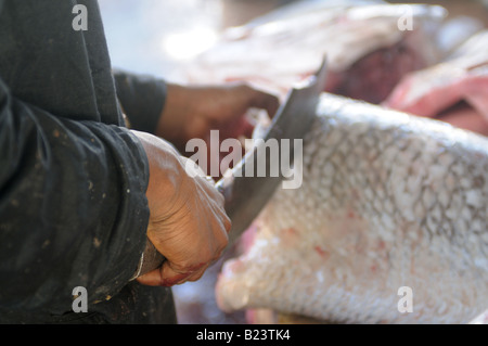 Mann-schneiden-Thunfisch-Steaks mit einer riesigen Machete zentrale Fisch Markt westlichen Afrika-Mauretanien Stockfoto