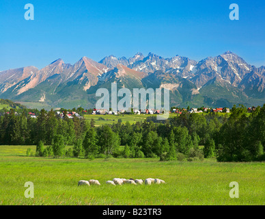 Blick auf die Tatra-Gebirge von Podhale Stockfoto