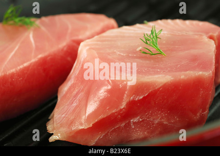 Zwei frische Thunfisch-Steaks garniert mit Dill in einer Grillpfanne Stockfoto