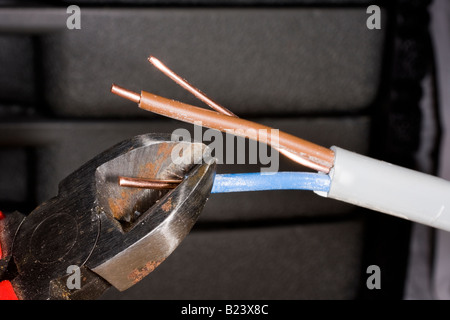 Kabelscheren auf 13 Amp Haus Ring Hauptkabel verwendet wird. Stockfoto