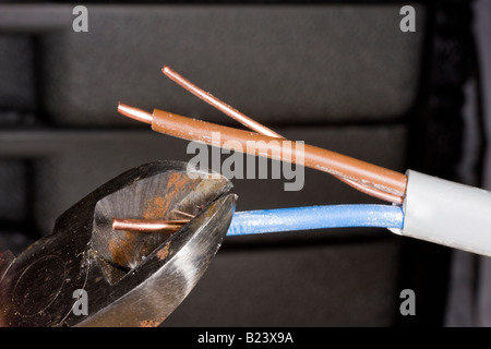 Kabelscheren auf 13 Amp Haus Ring Hauptkabel verwendet wird. Stockfoto