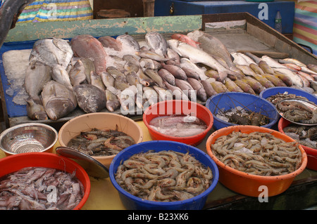 Eine Auswahl an Meeresfrüchten für Verkauf in Cochin, Kerala, Indien Stockfoto