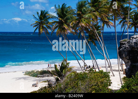 Einen Überblick der Palmenstrand mit Fransen am unteren Bay an der Südost Küste von Barbados Westindien März 2008 Stockfoto