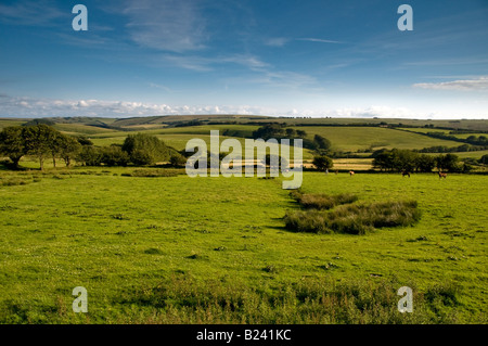 Blick auf Ackerland in einer ländlichen Gegend in der Nähe von Simonsbath Minehead. Exmoor National Park. Somerset. England Stockfoto