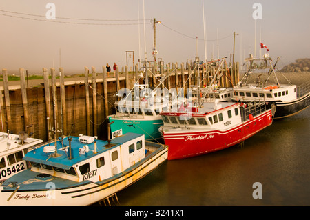 Kanada, New Brunswick, bunte kommerziellen Fischerboote Alma Wharf an der Basis des Fundy National Park Stockfoto