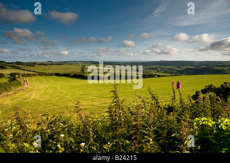 Blick auf Ackerland in einer ländlichen Gegend in der Nähe von Combe Martin. Exmoor National Park. Nord-Devon. England Stockfoto