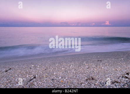 Muscheln am Strand Sonnenaufgang Bowmans Beach County Park Sanibel Island Florida USA Stockfoto