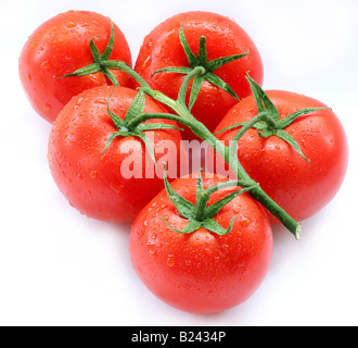 Tomaten-Objekte auf weißem Hintergrund Stockfoto