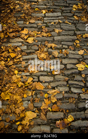 Gepflasterten Weg gedreht im Herbst mit Laub bedeckt Stockfoto