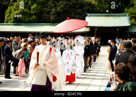 Hochzeitszug in Meiji Jingu, Tokyo-Japan Stockfoto