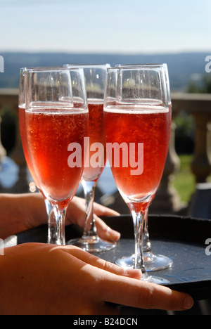 Ein Tablett mit Gläsern Champagner auf eine Sommer-Hochzeit im Vereinigten Königreich. Stockfoto