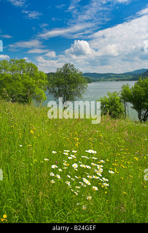 Nationalpark Bieszczady Gebirge-Polen Stockfoto