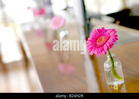 Eine rosa Gerbera Blume in ein Glas Flasche/Jvase auf eine Bar auf eine Sommer-Hochzeit im Vereinigten Königreich. Stockfoto
