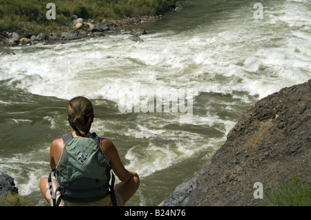 Scouting Lava Falls auf dem Colorado River Grand Canyon National Park Arizona US Olivia Markham Modell release auf Datei Stockfoto