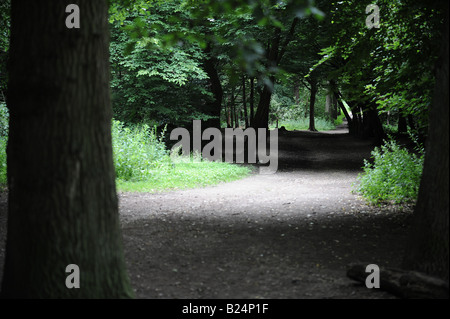 Weg durch Whippendell Wälder Stockfoto