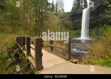 Unteren Süden fällt in Silver Falls State Park in Oregon Stockfoto