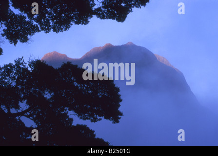 Mount Phillips entsteht durch Nebel, mit Berg-Buche Silhouette im Vordergrund, Milford Sound, Fiordland, Neuseeland Stockfoto