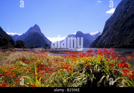 Milford Sound, Fiordland, New Zealand, Küste Blick, mit legendären Berg Mitre Peak, links. Stockfoto