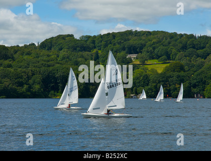 Yachten, racing auf Lake Windermere, Cumbria, Nationalpark Lake District, England UK Stockfoto