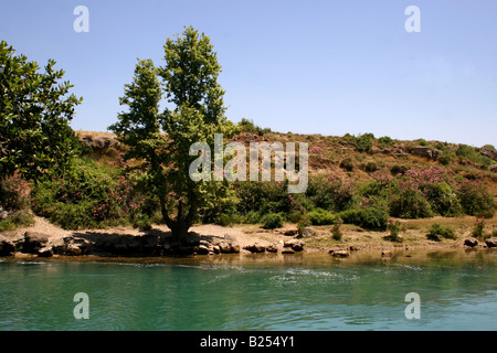 DER FLUSS MANAVGAT STROMABWÄRTS VON DEN WASSERFÄLLEN. MANAVGAT TÜRKEI. Stockfoto