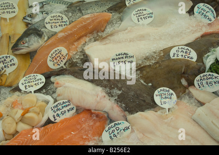 Frische Ish auf einem Marktstand mit Etiketten Stockfoto