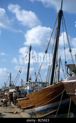 Sharjah Vereinigte Arabische Emirate Creek Dhow Stockfoto