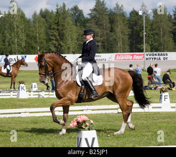 Weibliche Dressur-Reiter Stockfoto