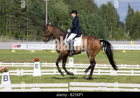 Weibliche Dressur-Reiter Stockfoto