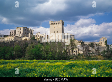 Die zerstörten Abbaye de Montmajour in der Nähe von Arles besucht und in Gemälden von Van Gogh Stockfoto
